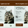 Omslags bild fr How to register your cat