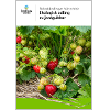 Omslags bild fr Ekologisk odling av jordgubbar