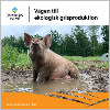 Omslags bild fr Vgen till ekologisk grisproduktion