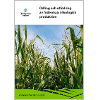 Omslags bild fr Odling och utfodring av fodermajs i ekologisk produktion