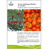 Omslags bild fr Svensk vxthusproduktion av tomater