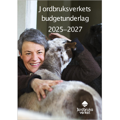 Omslags bild för Budgetunderlag för räkenskapsåren 2025–2027
