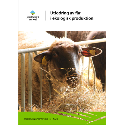 Omslags bild för Utfodring av får i ekologisk produktion