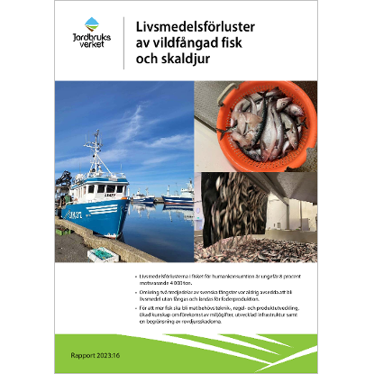 Omslags bild för Livsmedelsförluster av vildfångad fisk och skaldjur