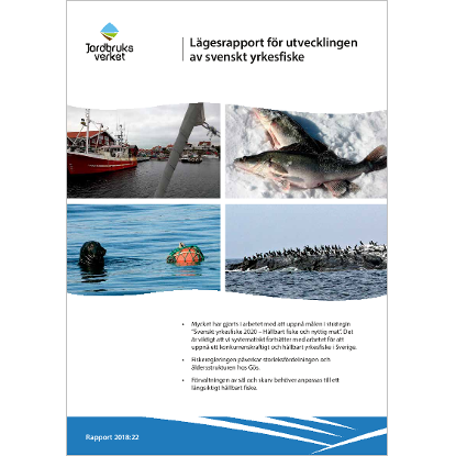 Omslags bild för Lägesrapport för utvecklingen av svenskt yrkesfiske