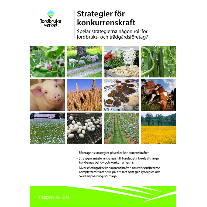 Omslags bild för Strategier för konkurrenskraft Spelar strategierna någon roll för jordbruks- och trädgårdsföretag?