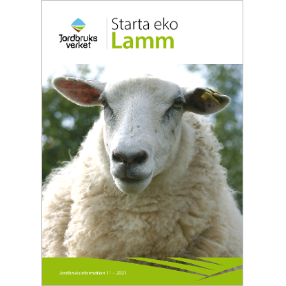 Omslags bild för Starta eko - Lamm