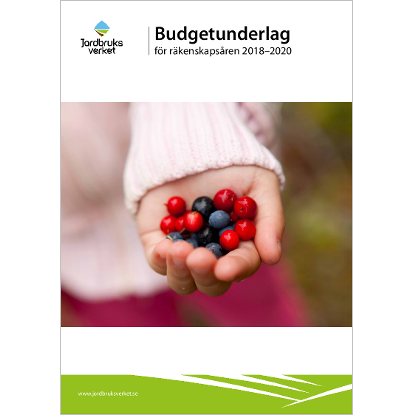 Omslags bild för Budgetunderlag för räkenskapsåren 2018-2020