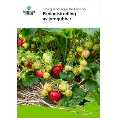 Omslags bild för Ekologisk odling av jordgubbar