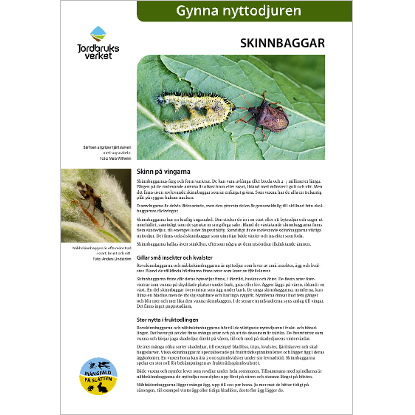 Omslags bild för Skinnbaggar, gynna nyttodjuren