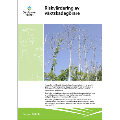 Omslags bild för Riskvärdering av växtskadegörare