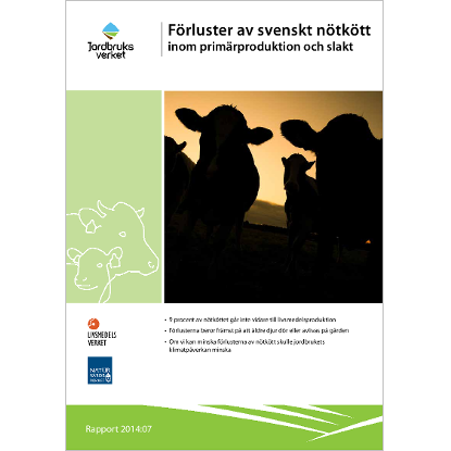Omslags bild för Förluster av svenskt nötkött inom primärproduktion och slakt