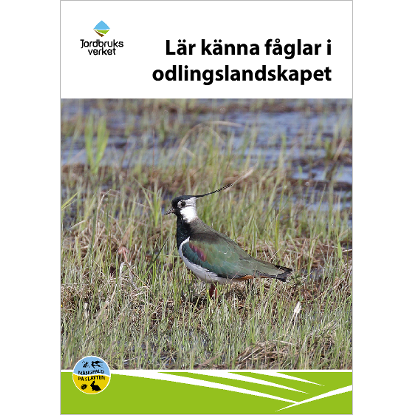 Omslags bild för Lär känna fåglar i odlingslandskapet