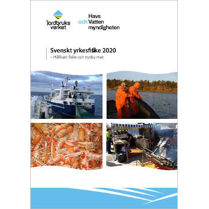 Omslags bild för Svenskt yrkesfiske 2020 - hållbart fiske och nyttig mat