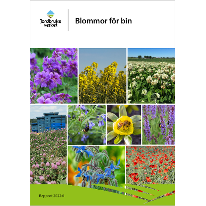 Omslags bild för Blommor för bin