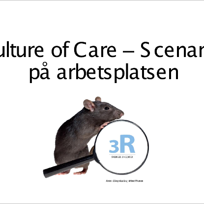 Omslags bild fr Culture of Care Scenarier p arbetsplatsen