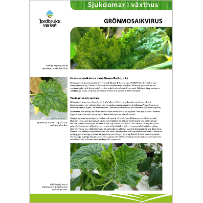 Omslags bild för Sjukdomar i växthus Grönmosaikvirus