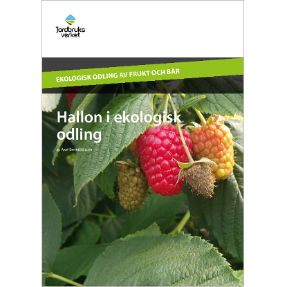 Omslags bild för Hallon i ekologisk odling