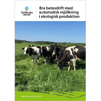 Omslags bild för Bra betesdrift med automatisk mjölkning i ekologisk produktion
