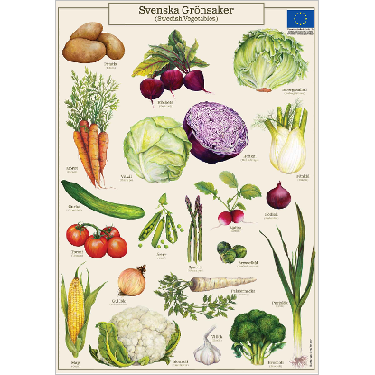 Omslags bild för Affisch Svenska grönsaker