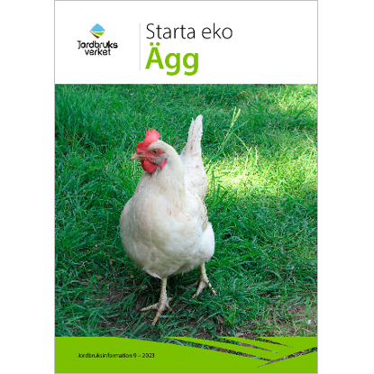 Omslags bild för Starta eko - ägg