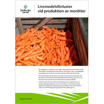 Omslags bild för Livsmedelsförluster vid produktion av morötter