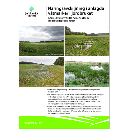 Omslags bild för Näringsavskiljning i anlagda våtmarker i jordbruket