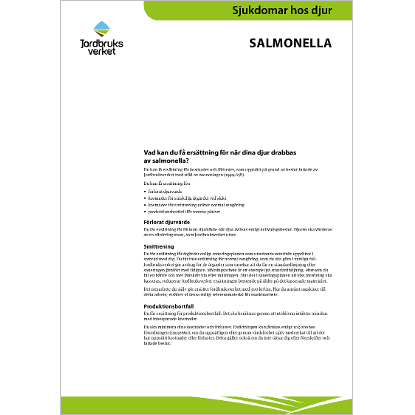 Sjukdomar hos djur salmonella
