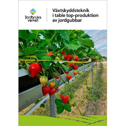 Växtskyddsteknik i table top-produktion av jordgubbar