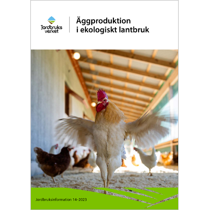 Omslags bild för Äggproduktion i ekologiskt lantbruk
