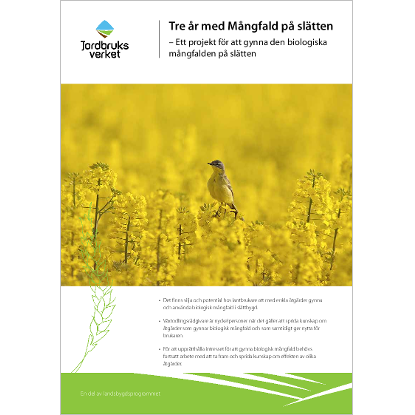 Omslags bild för Tre år med Mångfald på slätten -Ett projekt för att gynna den biologiska mångfalden på slätten